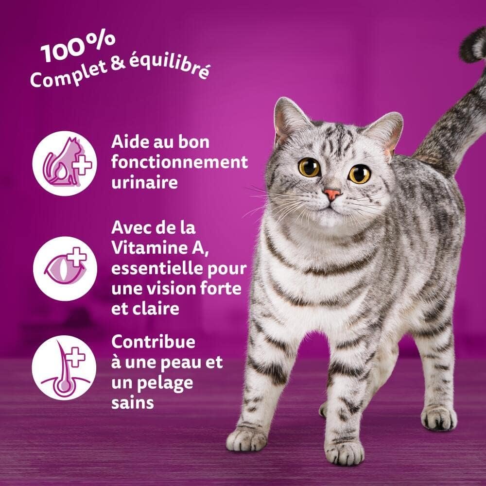 WHISKAS Croquettes Chat Adulte 1 An +, Sac de 7 kg, Au Poulet, Nourriture Chat Sèche Complète et Équilibrée, Croquettes chat – Image 2