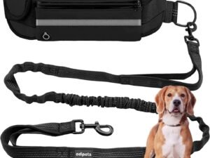 Edipets, Laisse Canicross, Main Libre Chien, pour Ceinture, Running, Anti-tirons, réfléchissant, 160-220 cm (Noir)