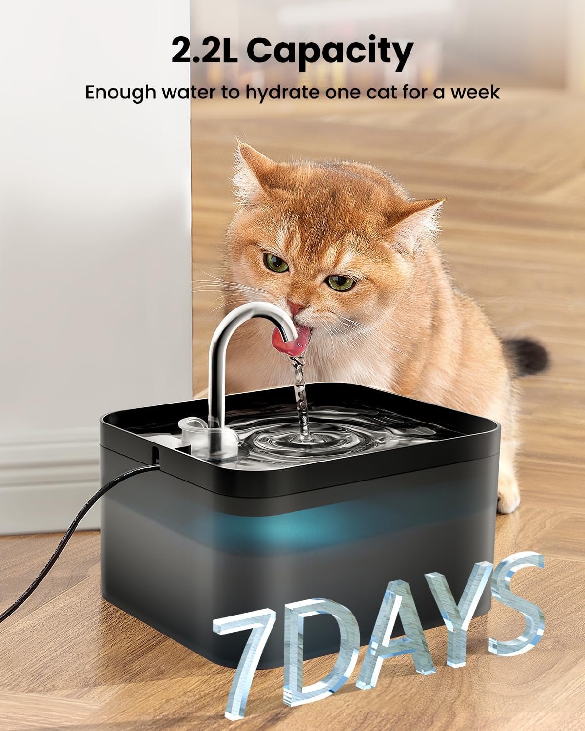 PawPoll Fontaine a Eau Chat, 2,2L, Super Silencieuse, Filtre à Carbone Activé, Facile à Mettoyer, Distributeur Eau Chat avec LED, Convient à Plusieurs Animaux de Compagnie – Image 4