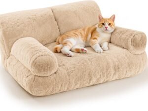 Gimars Canapé Lit pour Chat Grande Taille 10 % de Mousse en Plus, Lit Orthopédique Douillet avec Bords Relevés, Housse Amovible et Base Antidérapante,Couleur du thé au Lait