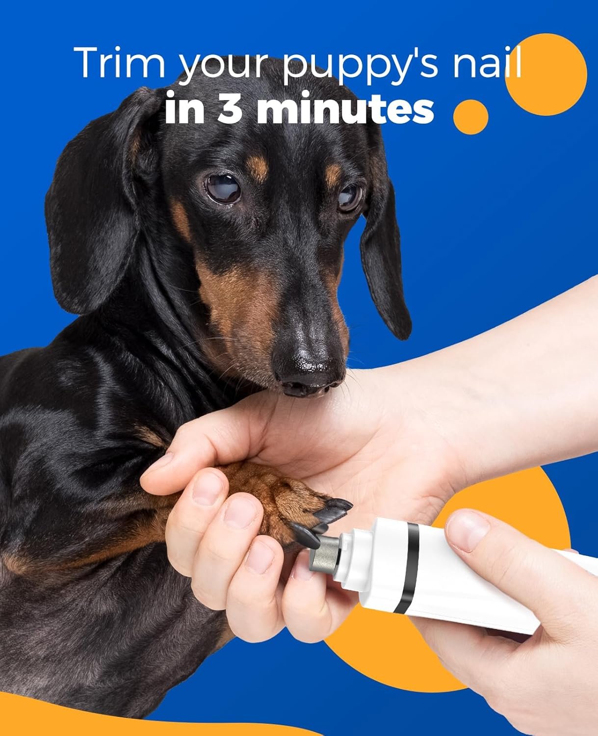 oneisall 4 en 1 Tondeuse chien set, Silencieuse Tondeuse pour chien,Sans Fil Fondeuse Toilettage pour Animaux avec 4 têtes de coupe multifonctions pour Chat et Chien (Blanc) – Image 3