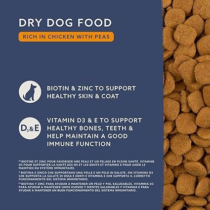 Croquettes Complètes Pour Chien Adulte, Poulet aux Pois, 5kg, lot de 1 – Image 2