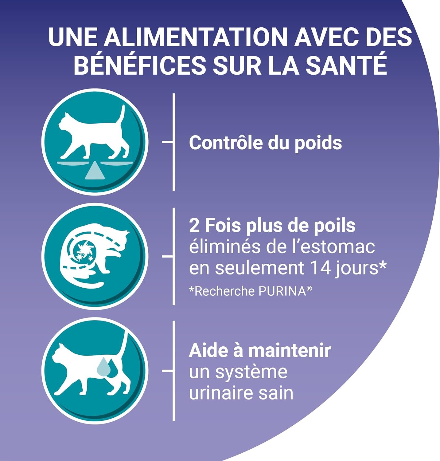 PURINA ONE | BIFENSIS | Spécial Chat Stérilisé d'Intérieur | Croquettes | Aide à contrôler le poids, maintenir un système urinaire sain, élimine les poils de l'estomac | Truite | Sac | Lot de 4 x 3Kg – Image 3