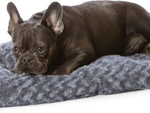 Basics Lavable en machine Coussin pour animal domestique, Chien, L 74 x l 53 x H 8 cm, Gris motif spirale