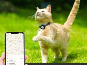 LAFAYI 2 Pack Collier Chat avec Accessoire Compatible avec Airtag Apple,Réfléchissant GPS Chat avec Anti étranglement,Réglable,GPS Airtag Non Inclus !(Noir)