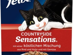 FELIX Countryside Sensations Nourriture sèche pour Chat au bœuf et au Poulet, 1 Paquet (1 x 1 kg)