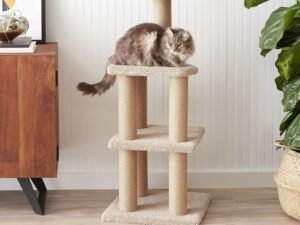 Basics Arbre à chat avec griffoirs, pour usage domestique, beige, taille L (45 x 45 x 117 cm)