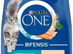PURINA ONE | BIFENSIS | Spécial Chat Stérilisé d'Intérieur | Croquettes | Aide à contrôler le poids, maintenir un système urinaire sain, élimine les poils de l'estomac | Truite | Sac | Lot de 4 x 3Kg
