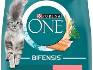 PURINA ONE | BIFENSIS | Chat Adulte Stérilisé | Croquettes | Aide à maintenir un système immunitaire fort | Au Saumon | Sac| 9,5Kg
