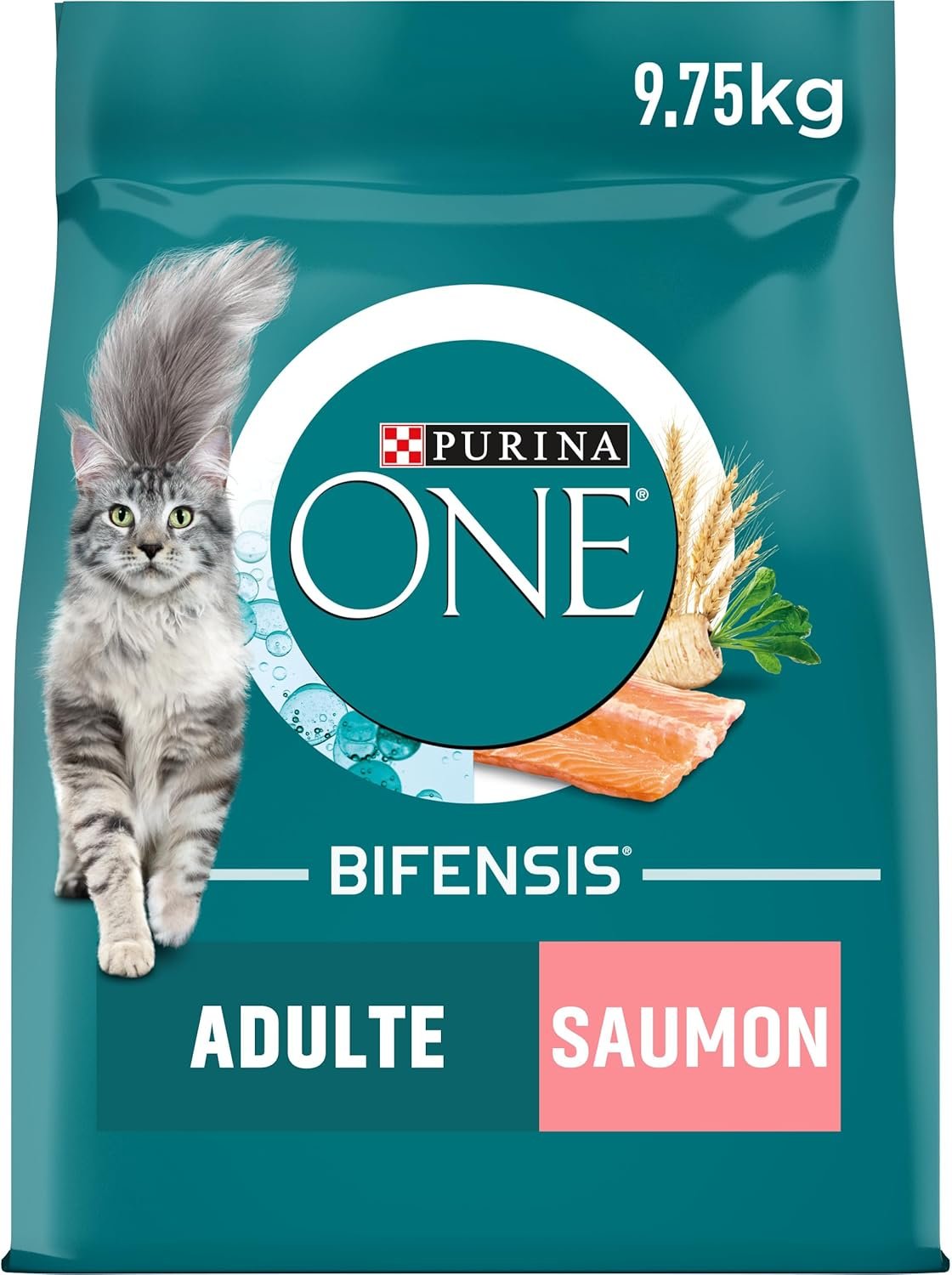 PURINA ONE | BIFENSIS | Chat Adulte Stérilisé | Croquettes | Aide à maintenir un système immunitaire fort | Au Saumon | Sac| 9,5Kg