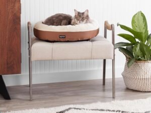 Basics Panier Rond pour Chien ou Chat avec Dessus en Flanelle, 50 x 50,8 x 15,2 cm, Marron et Ivoire