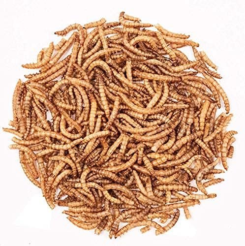 Detox Organica-vers de Farine Séchés-460g=3000ml- Nourriture pour Poissons, Oiseaux Tortues, Hérissons, Rongeurs et Reptiles – Image 2