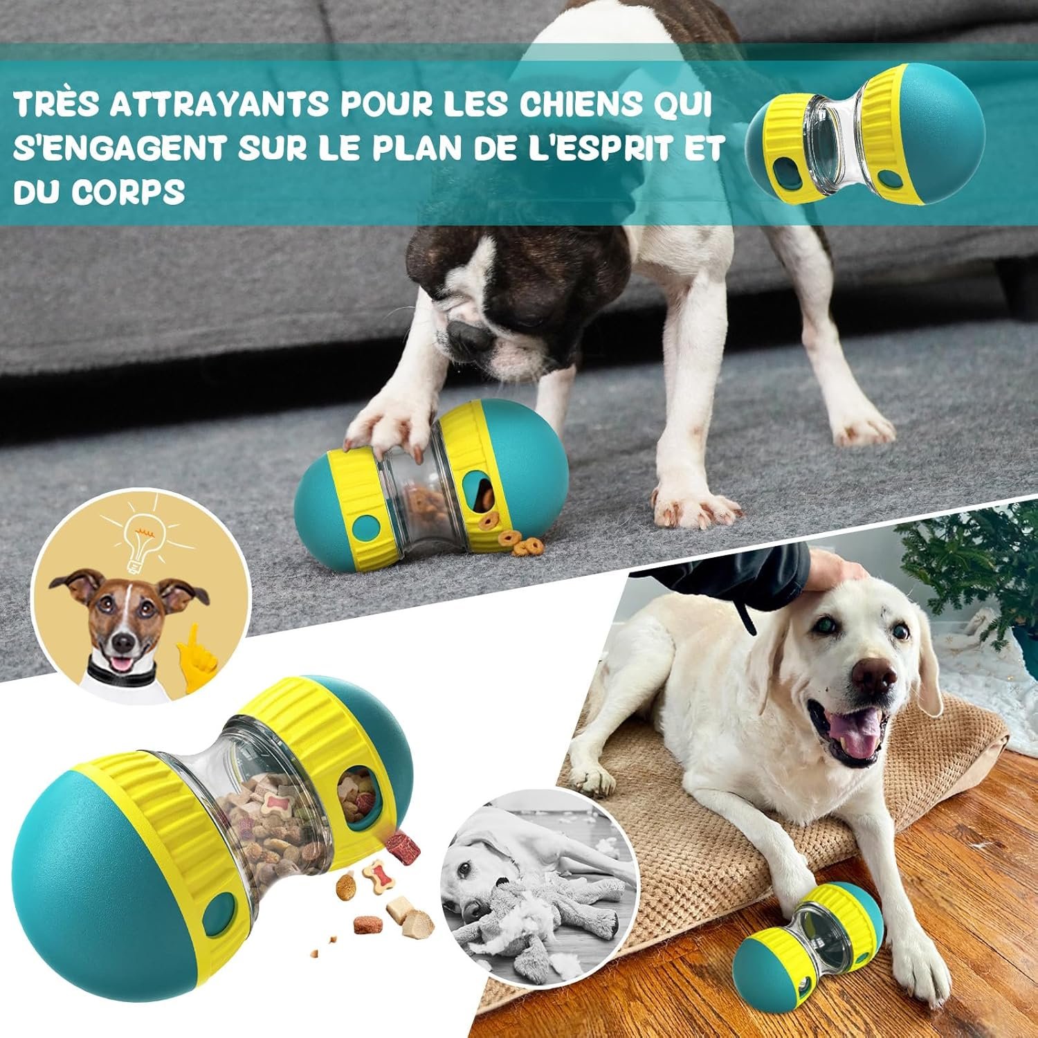 Jouet pour Chien Indestructible, Jouets pour Chiens Interactif de Mangeoire, Distributeur Croquettes Jouet Occupation pour Chiot, Cadeau d'anniversaire pour Chien à Couinement (Bleu) – Image 4