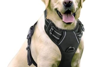Harnais Chien Anti Traction, Arnet pour Chiens avec Poignée Contrôl, Facile à Mettre, Gilet Réfléchissant Réglable avec Attache Devant, Harnais pour Chien Moyen Grand, Noir, L