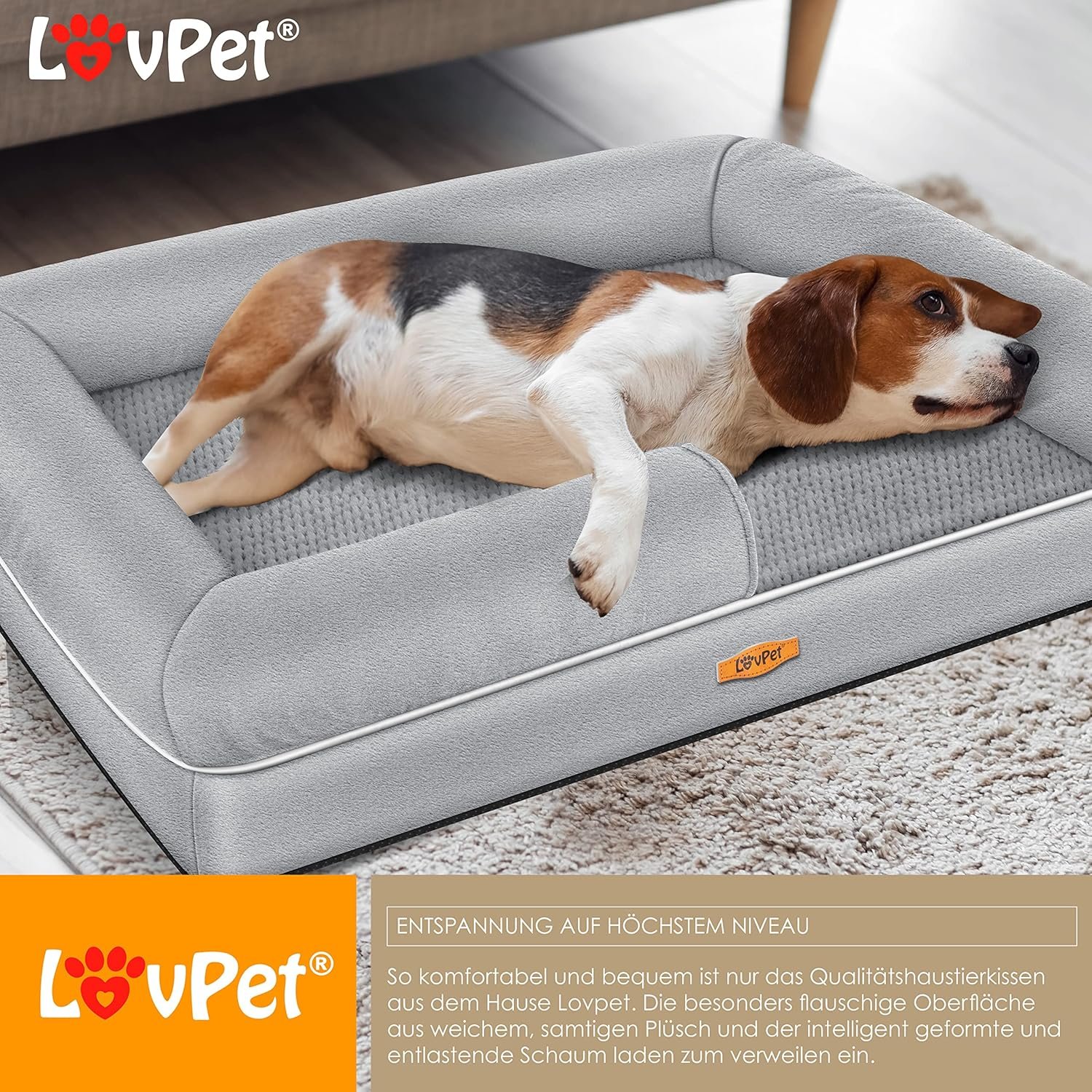 Panier orthopédique pour Chien Taille : L, Relax avec gamelle + 3 os à mâcher pour Chiens de Petite, Moyenne et Grande Taille Housse Amovible et Lavable – Image 3