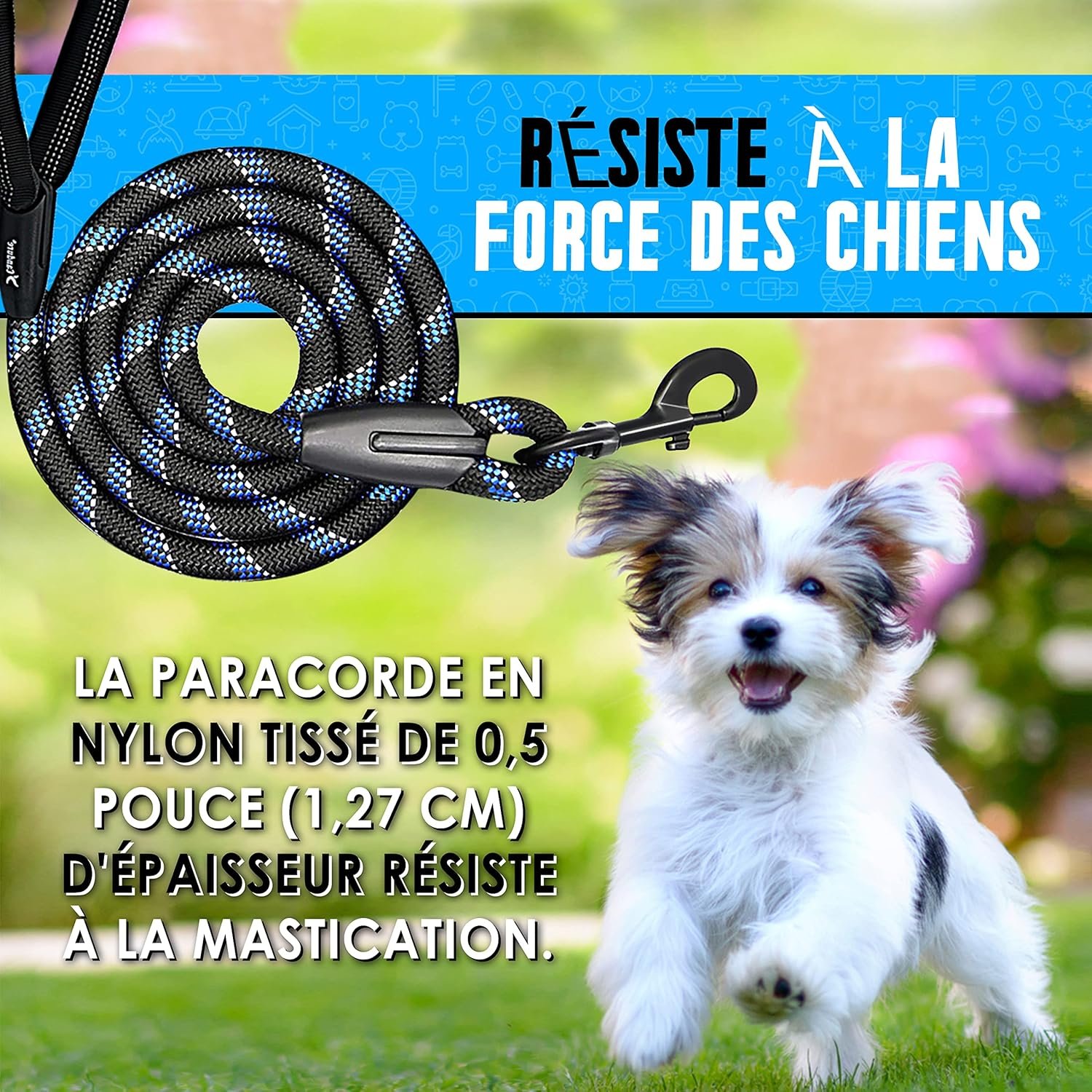 Candure Laisse Chien avec Souples Poignée Rembourrée et Antidérapant Corde pour Chien de Dressage Aux Chiot, Petits, Moyens et Gros Chiens Convient Course à Pied Jogging et Randonnée – Image 3
