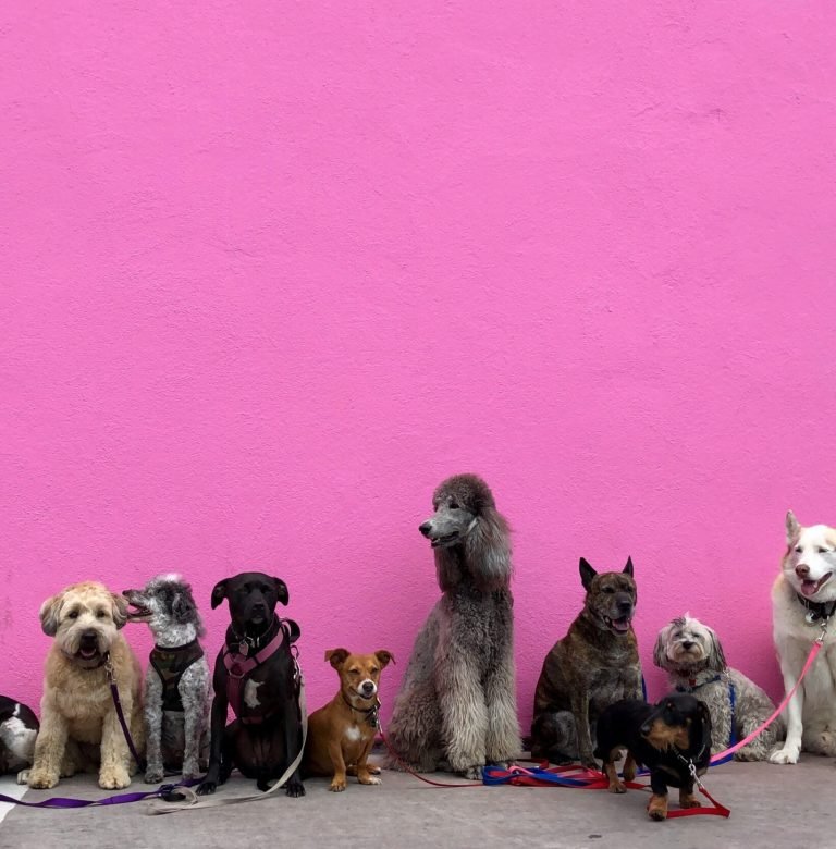 hannah-lim-U6nlG0Y5sfs-unsplash